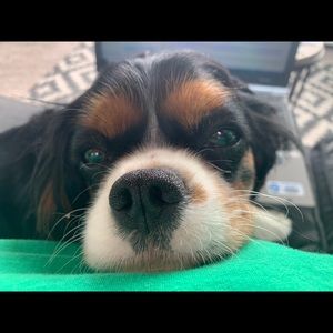 Meet your Posher, Lynne